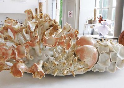 Coraux céramique en porcelaine de Sylvie ERHART, Les Ateliers de Moussanas, Céramiste